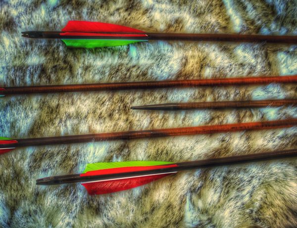 The "Tigris" Premium Traditional Wooden Arrows - Image 5